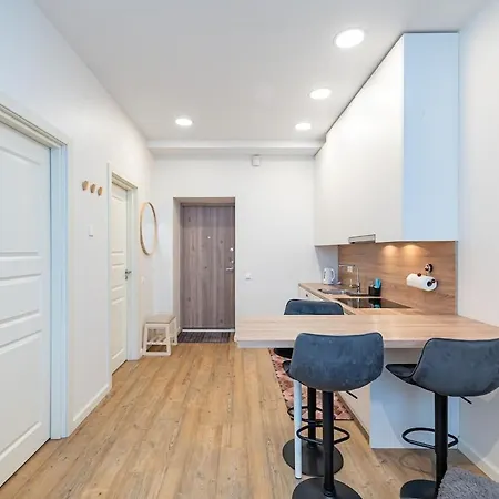 Apartamento Cozy&modern One-bedroom Kaunas